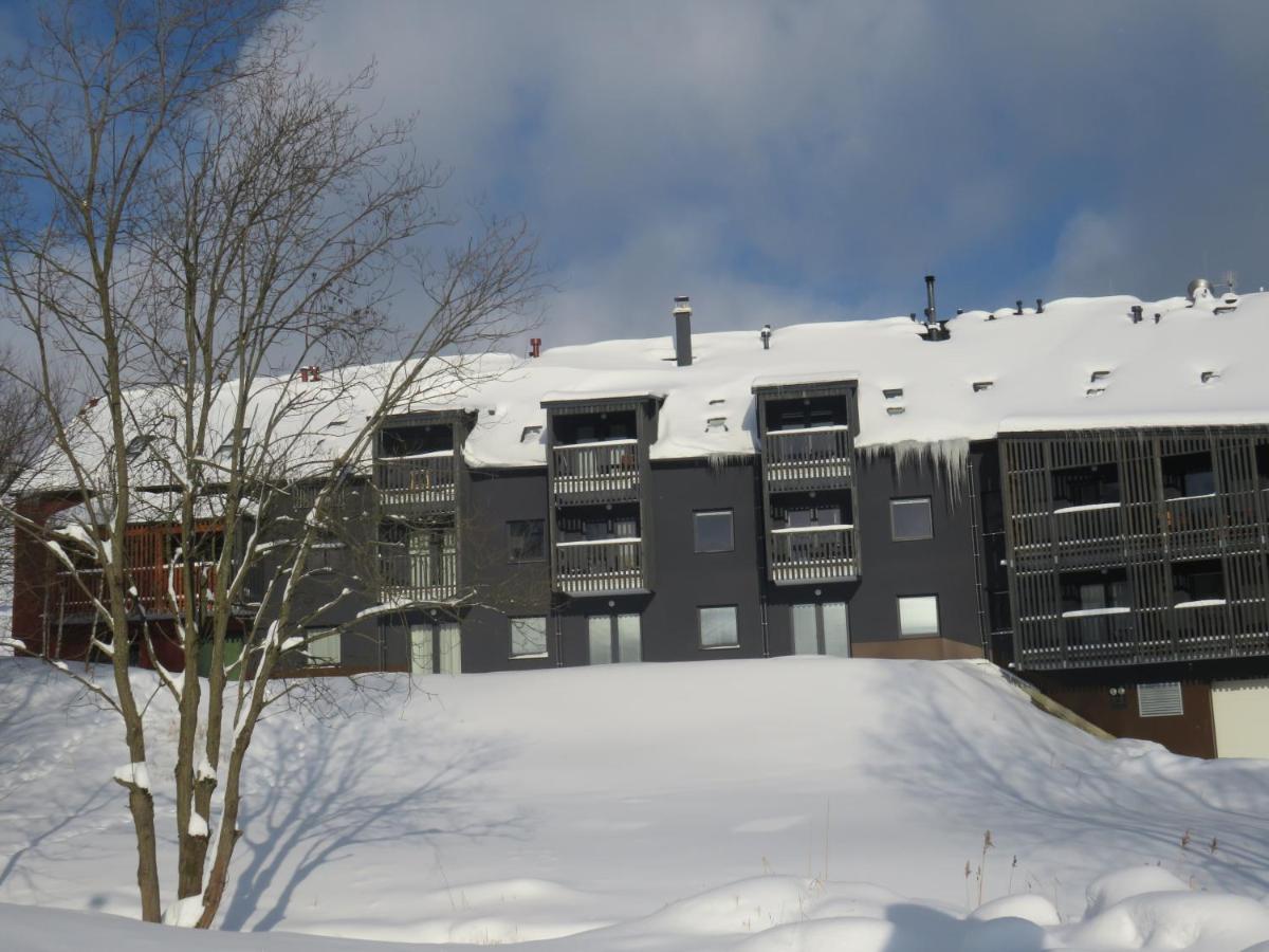 Apartment Honey Dolni Morava